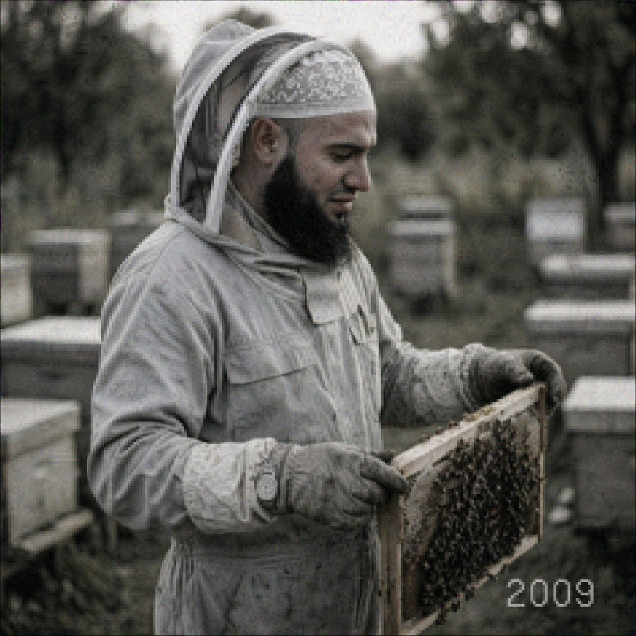 المؤسس يعمل مع خلايا النحل